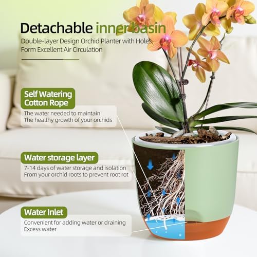 QCQHDU 2 Pack 7.2 Inch Orchid Pots with Holes for Repotting, Double-Layer and Self Watering Orchid Pot with Good Air Circulation - Image 4