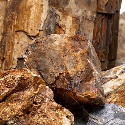 SubstrateSource Natural Stone for Aquarium, Terrarium, Paludarium, Reptile Enclosures - Set of Decorative Rocks for Landcapes, Aquascaping, Fish Tank Decor (Petrified Wood Stone, 30 Pounds, 2-8") - Image 5