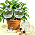 26oz Extra Large Plant Watering Globes, Self Watering Bulbs and Water Globes for Indoor Outdoor Potted Plants, Vacation Watering While Away 4-Pack by Unknown