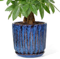 10 Inch Ceramic Planter Pot with Saucer Drainage Leak-Proof Mesh,Flower Pots for Indoor Plants with Gardening Gloves,Ceramic Planter(Peacock-Blue) by Unknown