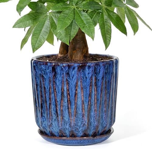10 Inch Ceramic Planter Pot with Saucer Drainage Leak-Proof Mesh,Flower Pots for Indoor Plants with Gardening Gloves,Ceramic Planter(Peacock-Blue) by Unknown