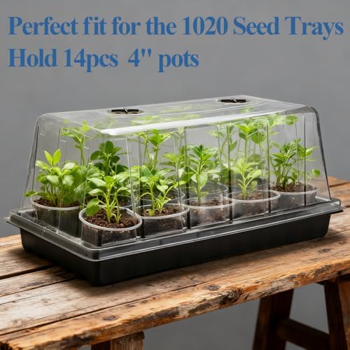 1020 Seed Starting Trays with Tall 7.3" Humidity Dome, No Hole, 5-Pack - Image 4