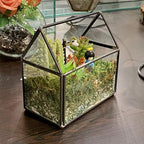 WGV Geometric Planter Terrarium, Width 6" x 3.5" Height 6" Clear Glass Black Frame DIY Succulent air Plant Miniature Fairy Garden Windowsill Tabletop Decor, House 1 Piece - Image 5