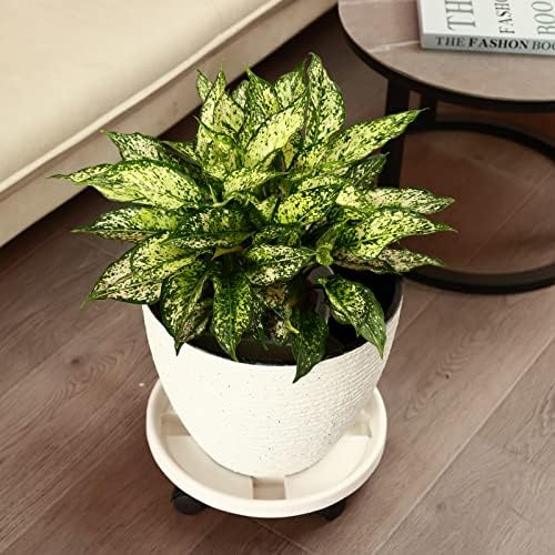 5 Packs Large Plant Caddy with Wheels 13" Rolling Wheeled Plant Stands Heavy-Duty Plastic Flower Pot Roller Base Movers Indoor Outdoor Planter Dolly with Casters Trolley, White - Image 7