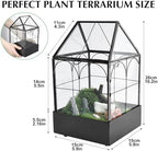 HighFree Glass Terrarium with Metal Tray, Glass Greenhouse Terrarium Kit - Image 3
