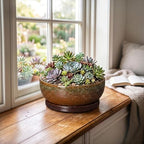 Ceramic Bonsai Pots, 8 Inch Succulent Pots with Tray, Speckle Brown - Image 4