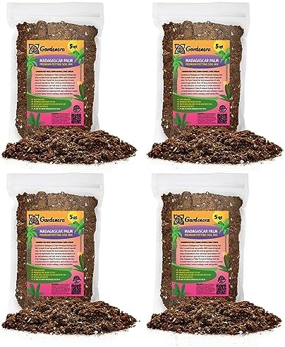 Gardenera Madagascar Palm Plant Potting Mix - Elevate Your Space with a Premium Blend for Striking Elegance - 20 Quart by Gardenera