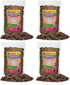 Gardenera Madagascar Palm Plant Potting Mix - Elevate Your Space with a Premium Blend for Striking Elegance - 20 Quart by Gardenera