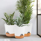 GARDIFE 10/9/8 inch Plant pots, planters for Indoor Plants, self Watering Plant Pot, Flower pots, White - Image 6