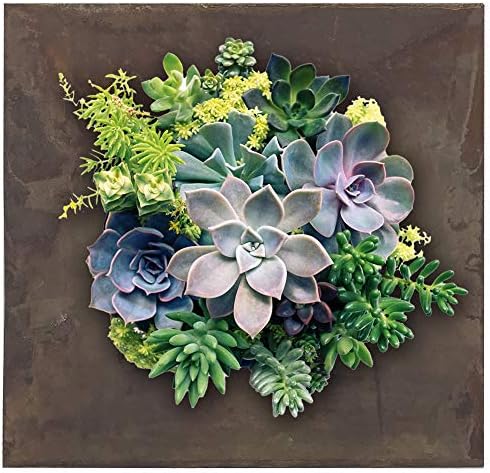 Modern Home Living Wall Galvanized Steel/Zinc Succulent Planter, Wall Mounted Garden Pocket Planter (4 Pocket, Rust Zinc) - Image 6