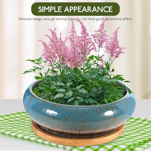 2 Sets Ceramic Bonsai Planter Pot with Tray, Flower Container - Image 4