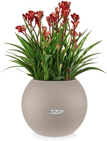 Lechuza Puro Colour 20 + Macrame Sand Brown 13355 - Image 2