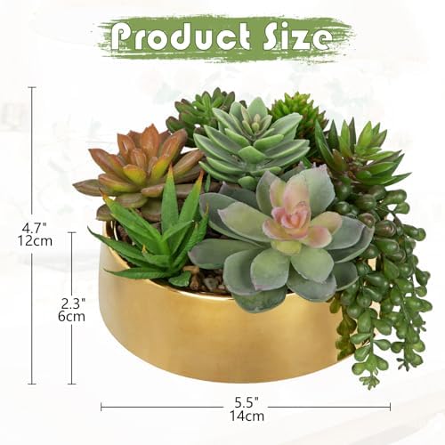 Artificial Succulent Plants in Pot 5.5 Inch Fake Succulents Arrangement - Image 3
