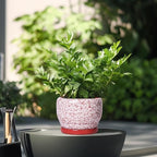 SQOWL 6 Inch Plant Pot - Ceramic Planter for Indoor Outdoor, Round Decorative Plant Pot with Drainage Hole and Saucer, Small Flower Planter, Home Balcony Decor, Gifts for Women Men, Red and White - Image 4