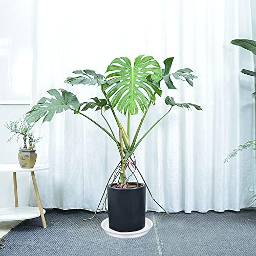 4 Pack of 16 inch Plant Saucer (13.5" Base), Heavy Duty Plastic Plant Tray for Pots, Bird Bath Bowls, Plant Drip Saucers for Planter 14"/15"/16" (White) - Image 2