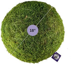 SuperMoss (21679 Moss Balls – Preserved Decorative Moss Balls for Home Décor, Vase Fillers, Centerpieces, Terrarium & Wedding Décor, Natural Green Moss Décor Balls, 18", Fresh Green - Image 3