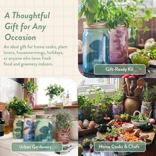 Modern Sprout Garden Jars + Smart Growbar Bundle- Basil, Rosemary & Parsley - Image 6