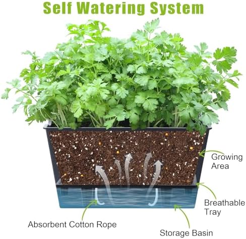 Window Box Planter 6 Pcs, 12.1 Inches Self Watering Plant Pots Rectangle Flower Pots with Drainage Holes and Breathable Trays, Vegetable Planters for Windowsill Patio Garden Balcony Porch Yard (Black) - Image 3