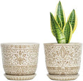 Gepege Ceramic Plant Pots, 6 Inch Indoor Planters with Drainage & Saucers by Gepege