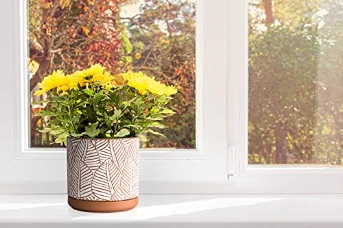 D'vine Dev Set of 2 Terracotta Pots, Broadleaf Pattern Planter, 31-958-H-1 - Image 5