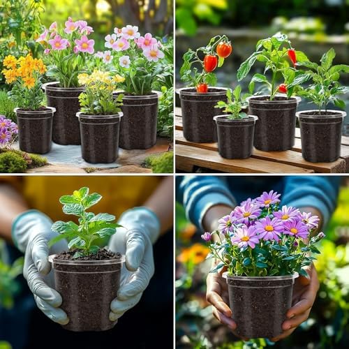 36 Pcs 6/5/4/3.5 In Clear Nursery Plant Pots with Drainage Holes, 20 Labels - Image 7