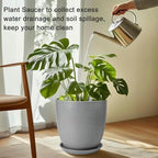 Plant Pot Saucers - Ceramic Plant Saucers for Outdoors 12 inch Plant Trays for Indoors No Holes Plant Drainage Trays Round Flower Pot Saucers Plant Plates to Catch Water 2 Pack Gray - Image 4