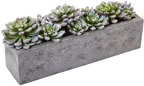 Nearly Natural Succulent Garden with Textured Concrete Planter by NearlyNatural