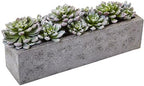 Nearly Natural Succulent Garden with Textured Concrete Planter by NearlyNatural