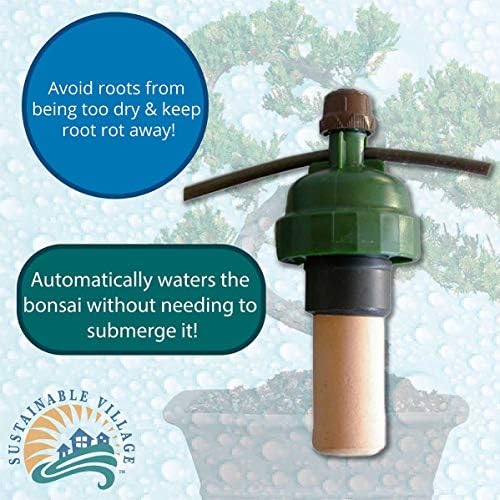 Blumat Bonsai Automatic Plant Watering Sensor || Never Over or Under Water Your Plants Again! - Image 5