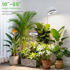 Aokrean 6.3in Grow Light,Full Spectrum Plant Light for Indoor Growing 5V/3A - Image 4