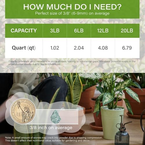 NUPICK 12lb Green Zeolite for Plants, 3/8" Gravel for Cactus - Image 2