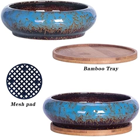 Succulent Pots, 7.3 Inch Succulent Planters with Drainage Pack of 2 - Image 4