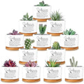 12 Pcs Difference Maker Gifts Succulent Pots Bulk for Employee by Unknown