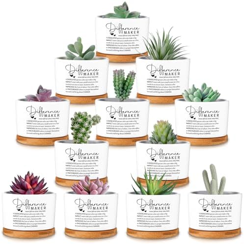 12 Pcs Difference Maker Gifts Succulent Pots Bulk for Employee by Unknown
