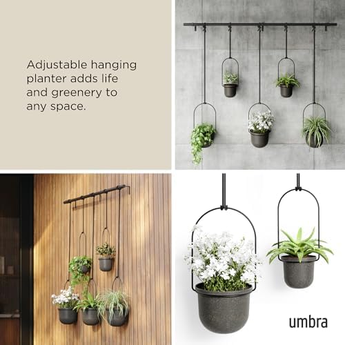 Umbra Triflora Hanging Planter, Window Herb Garden, Set of 5, Black/Black - Image 4