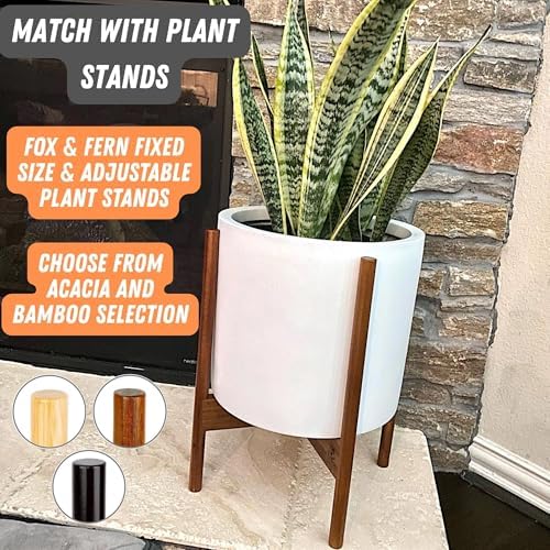 Fox & Fern Large Planter for Indoor or Outdoor, Matte White, 12 Inch - Image 7