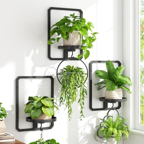 iDavosic.ly Wall Plant Picture Frame Holder Set of 3 for Indoor, Black by iDavosicly