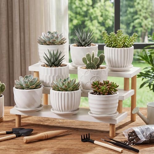 Maxdot 12 Set 4 Inch Ceramic Pots for Plants White Flower Pots with Drainage Holes Saucer Flower Planter for Indoor Outdoor Gardening Home Desktop Office Windowsill Decor - Image 4