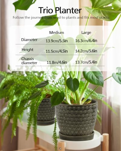 Plant Pots, Flower Pots, Planters for Indoor Plants(6.5+5.5inch), Flower Pots for Indoor Plant with Drainage Hole and Saucer, Ceramic Pots for Plants with Hole Mesh Pad,Reactive Glaze Green - Image 2