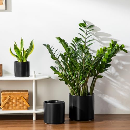 vancasso 6"+8"+10" Ceramic Pot for Plants, Large Outdoor Indoor Planter Pots with Drainage Holes, Set of 3, Black - Image 4