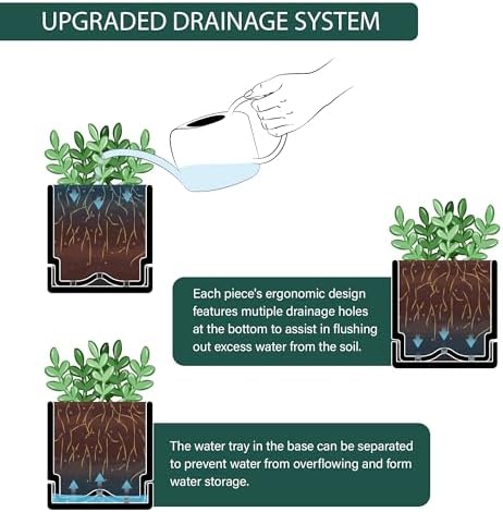 D'vine Dev 6-Pack Plastic Herb Planter Pots, 4 in, Black, 76-Y-B6-1 - Image 5