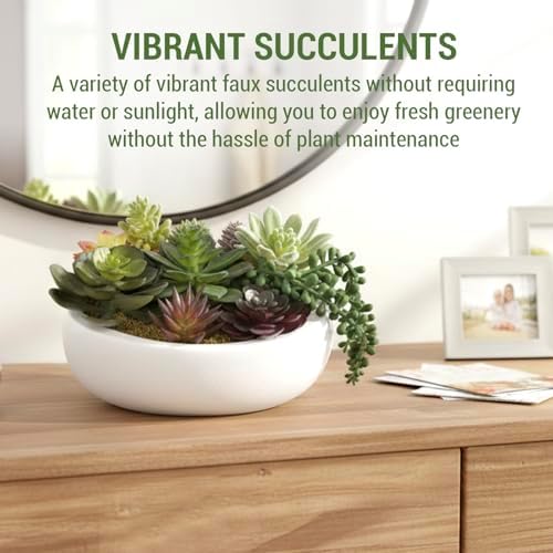 MyGift 8 Inch Round Modern Artificial Succulent Arrangement Potted in White Concrete Plant Bowl, Assorted Faux Mini Succulents in a Decorative Planter Pot - Image 3