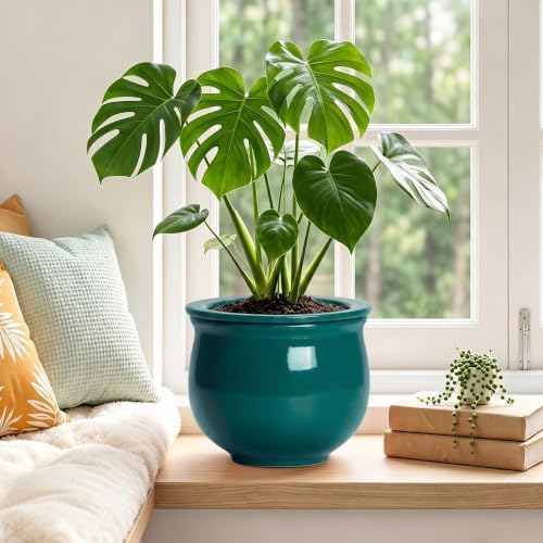 8 Inch Ceramic Self-Watering Flower Pots, Blackish Green - Image 4