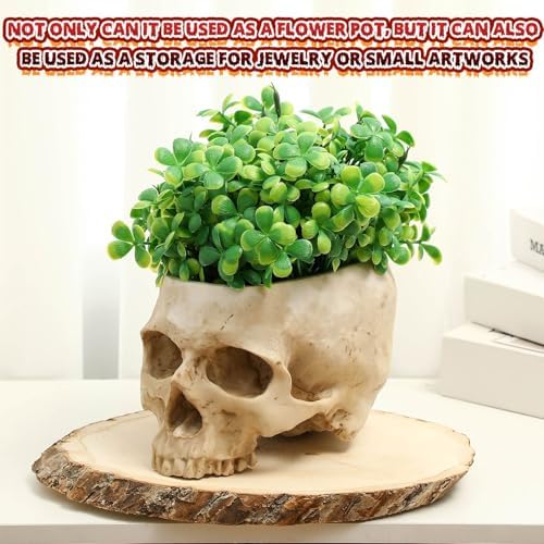 2 Pack Halloween Skull Planter, Beige, Vintage - Image 6