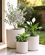 homenote 13.2/10.5/8.5 Inch Large Plastic Flower Pots with Drainage (3 Pcs) - Image 5