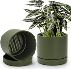 Phoenix Vine 8 Inch Planter Pot with Drainage Hole & Saucer, Deep Water Catch Tray, Straight Cylindrical Round Pot for Plants, Olive, Pack of 2, 23-D-T-2 by Phoenix+Vine