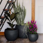 Beuta Large Poly Planters for Outdoor Plants - Set of 3, 8/12/14 Inches Outdoor Planters for Porch - Tall Planter for Outdoor & Indoor Plants | Large Indoor Plant Pot - USA Made - Black - Image 6