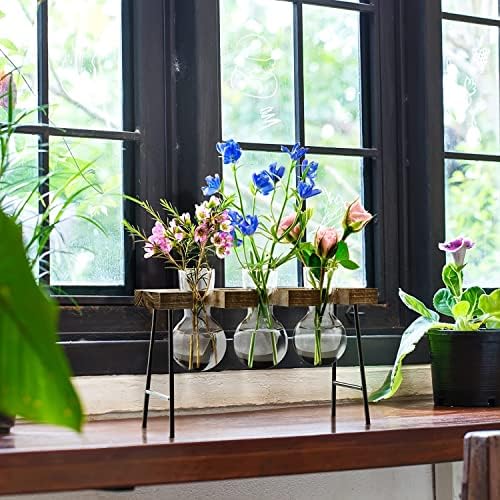 Plant Terrarium with Wooden Stand, Air Planter Bulb Glass Vase Metal Swivel Holder Retro Tabletop for Hydroponics Home Garden Office Decoration - 3 Bulb Vase - Image 2