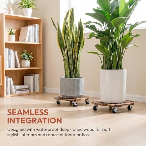ZXZYHFTY 14 Inch Rolling Wood Plant Caddy with Wheels, 2 Pack - Image 3
