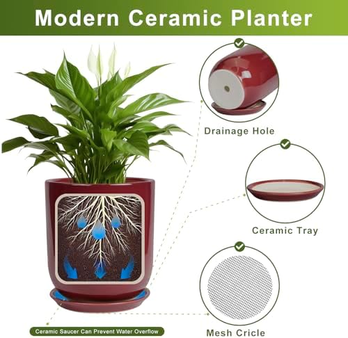Ceramic Planter for Plants - 10 Inch Plant Pot Indoor with Drainage Hole and Saucer Modern Large Outdoor Planter Flower Pot for Home Decor Red - Image 6